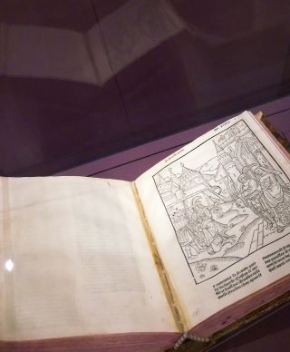 Giacomo Rizzolatti e i neuroni specchio